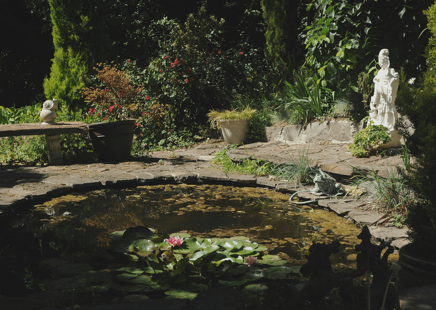 teich und waßeranlagenbau in dortmund